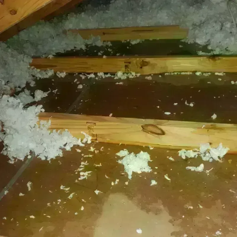 Best Attic Water Damage Service in Deephaven, MN